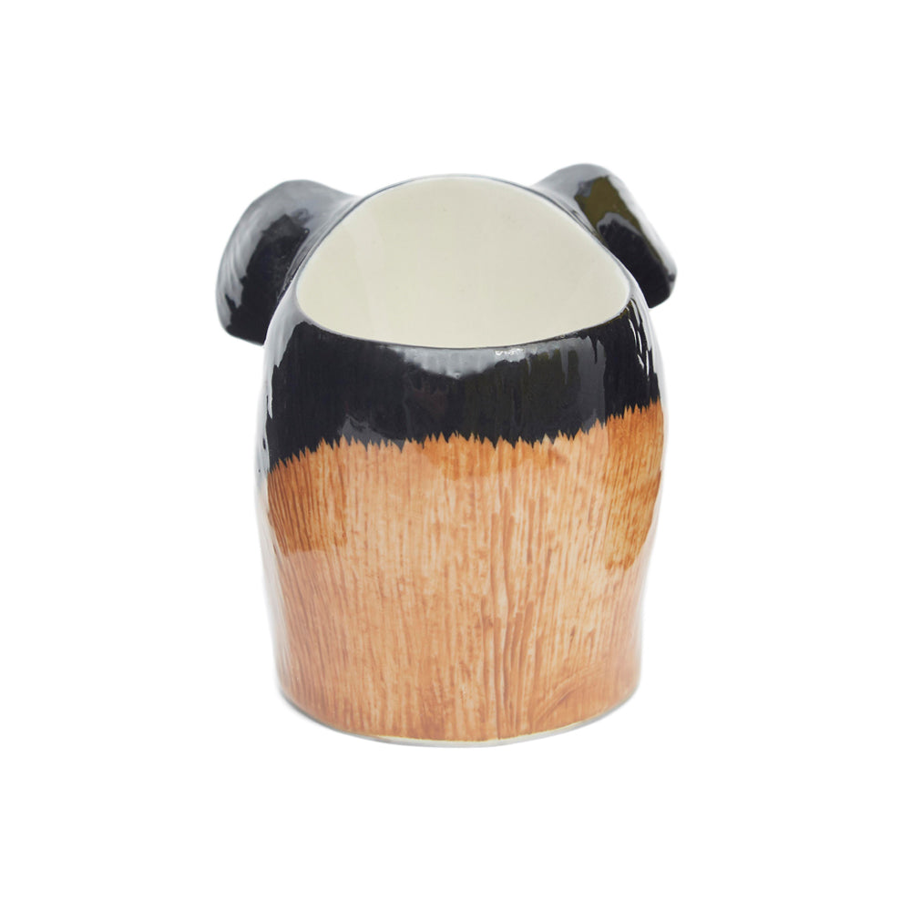 Quail Guinea Pig Multicoloured Face Egg Cup