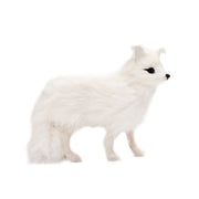 Fur Arctic Fox