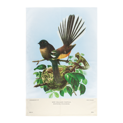 New Zealand Retro Tea Towel Fantail