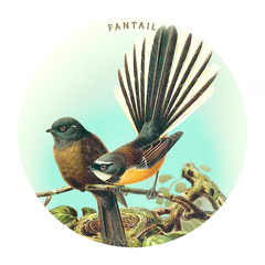 Ceramic Coaster Fantail