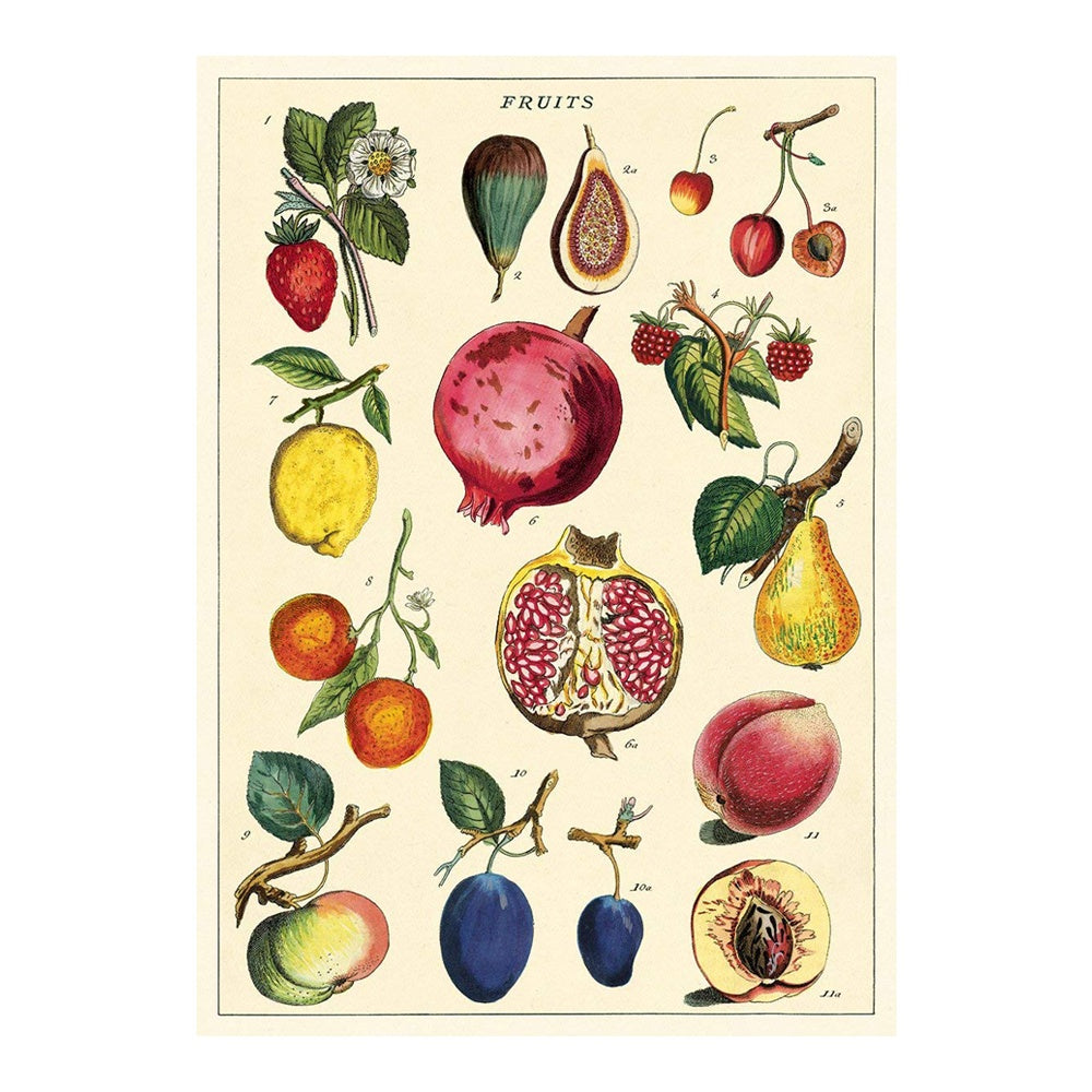 Cavallini Vintage Poster Fruit 2