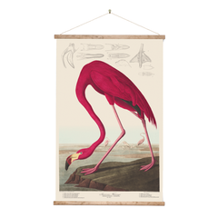 Retro Wall Chart Flamingo