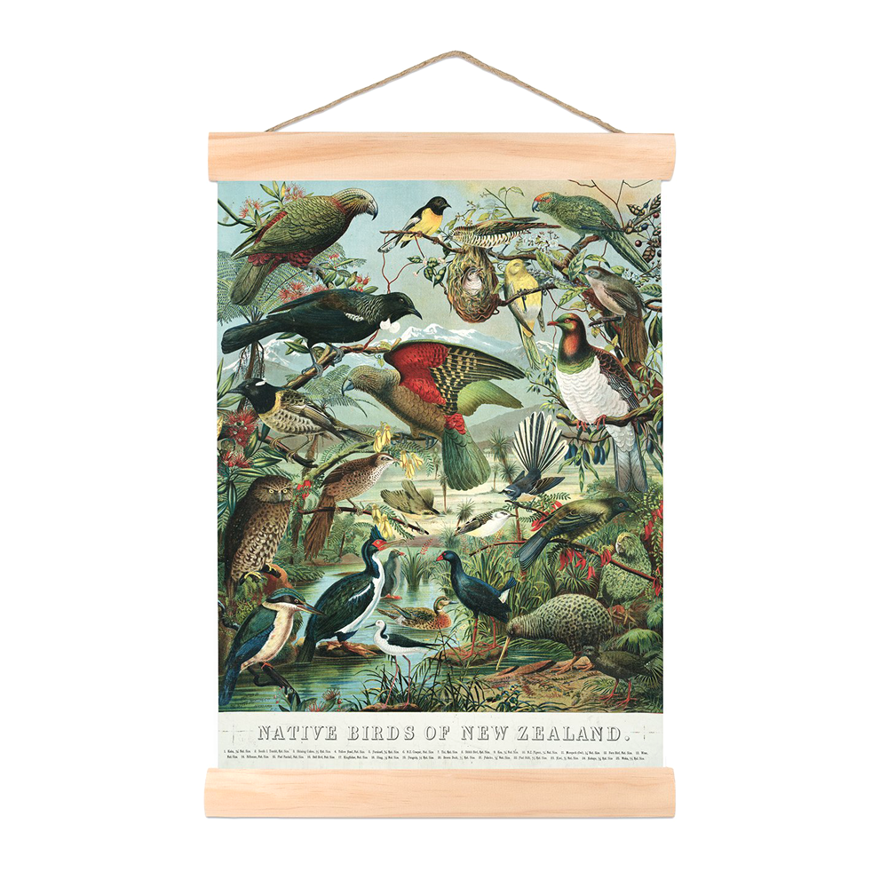 New Zealand Retro Mini Canvas Wall Chart Native Birds Small