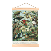 New Zealand Retro Mini Canvas Wall Chart Native Birds Small