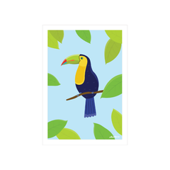 Iko Iko A4 Art Print Tropical Toucan