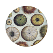 Kina Placemat