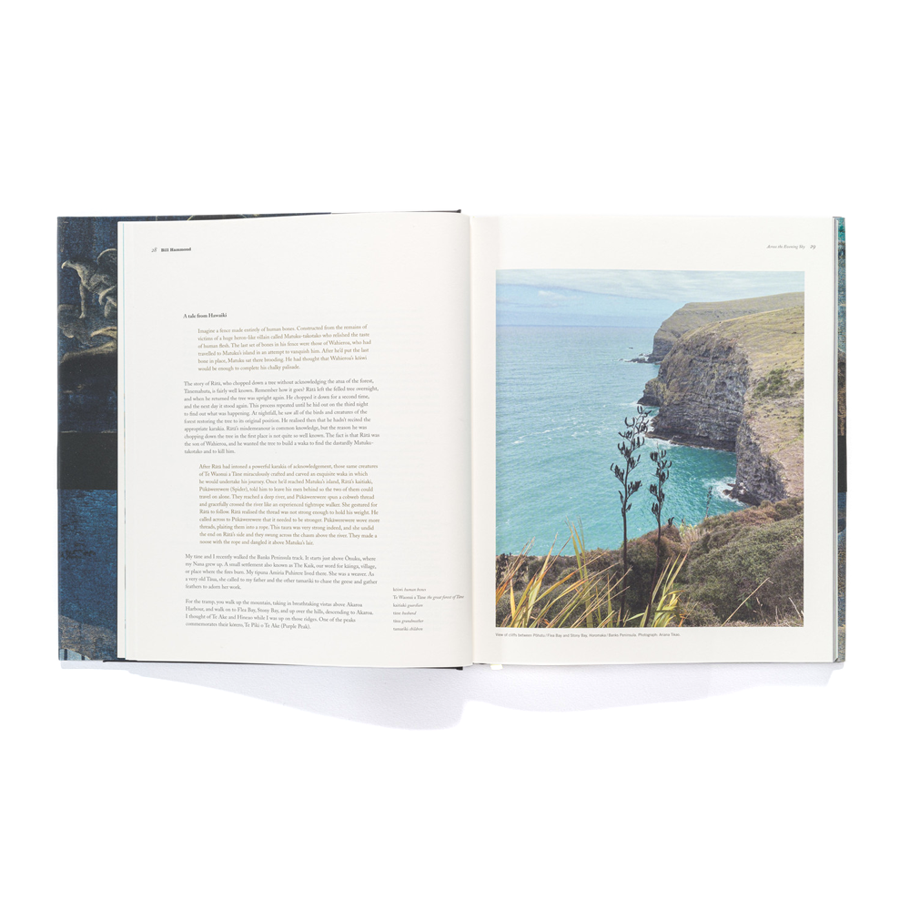 Bill Hammond Across the Evening Sky