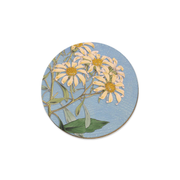 Kirks Daisy Kohurangi Coaster