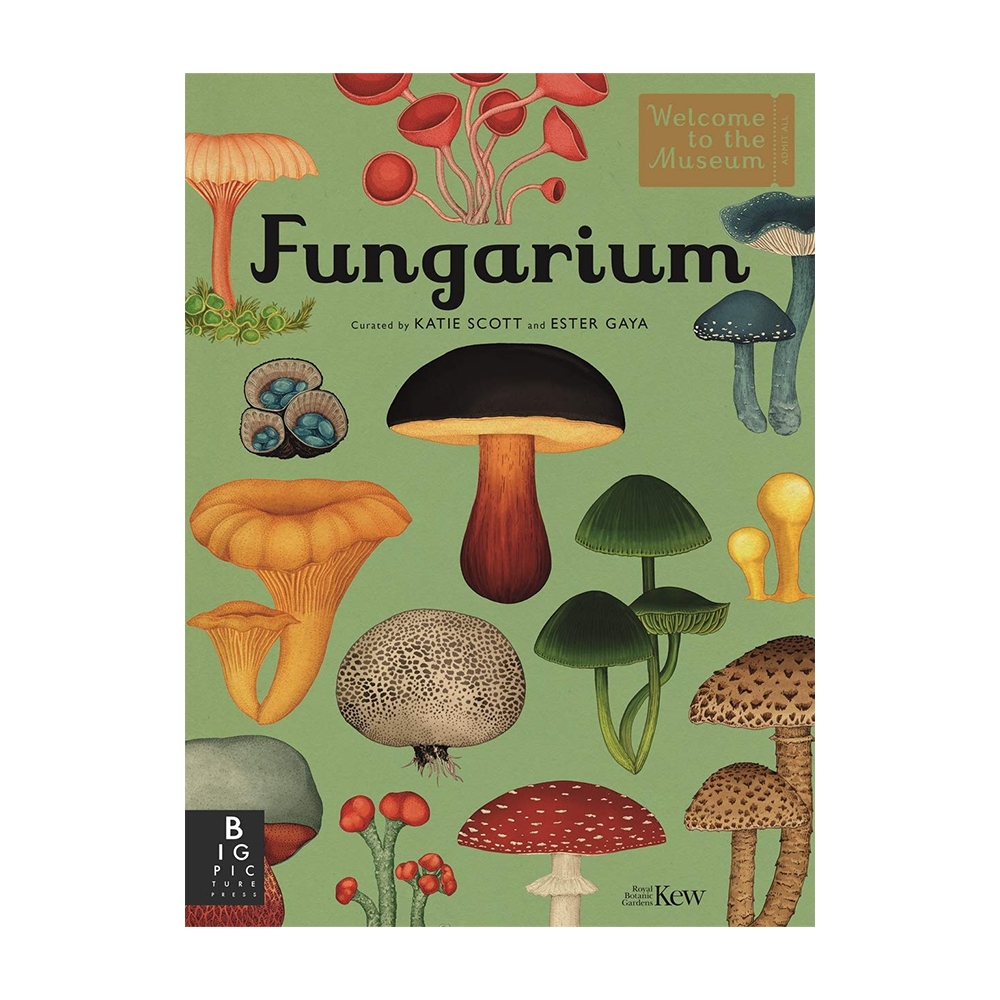 Welcome to the Museum Fungarium