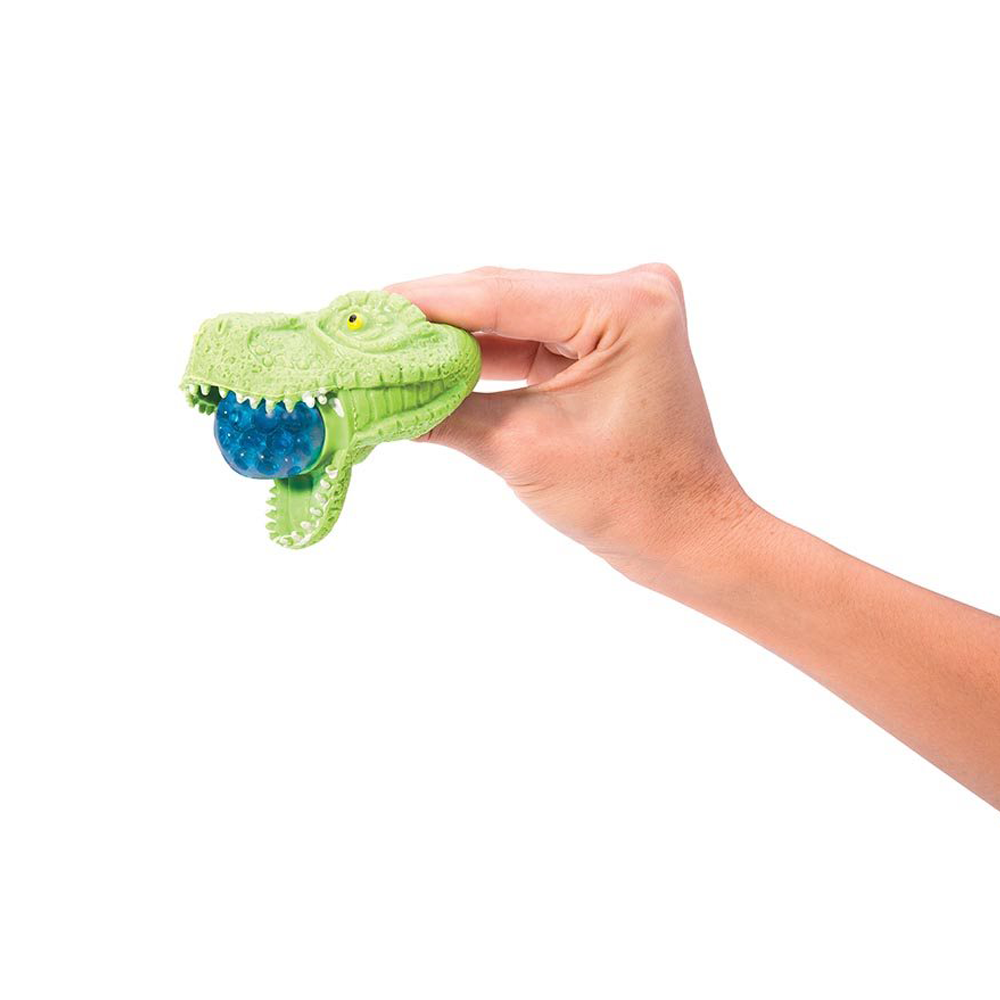 Squish-A-Dino T-Rex Head Assorted