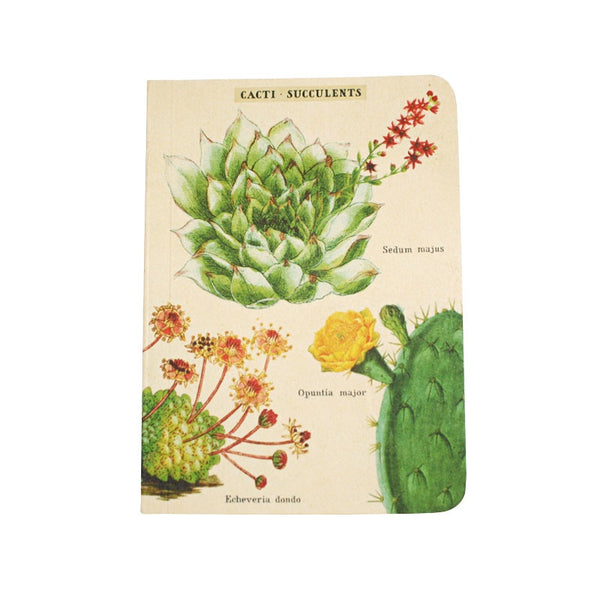 Cavallini Note Mini Notebook Succulents Lined
