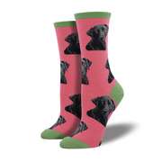 Socksmith Socks Women's Lab Or of Love