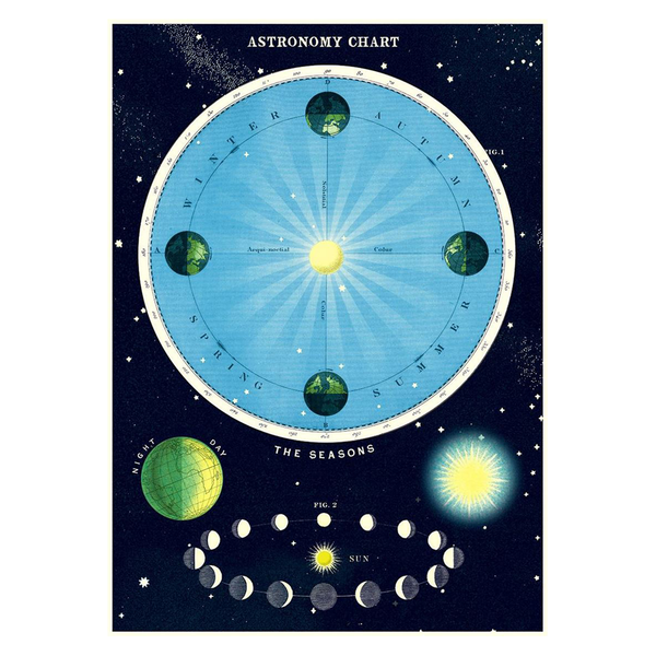 Cavallini Vintage Poster Astronomy Chart