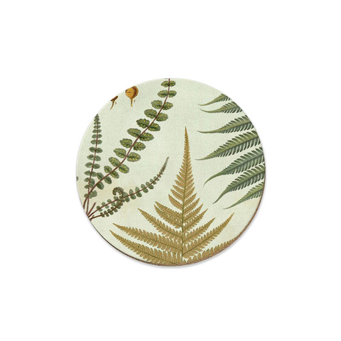 New Zealand Ferns Coaster