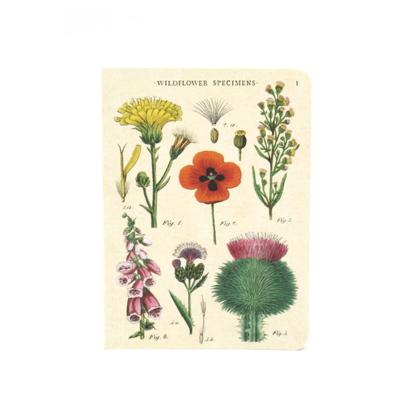 Cavallini Note Mini Notebook Wildflowers Lined