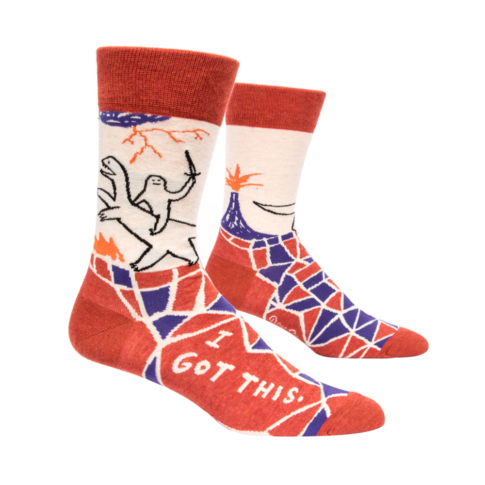 Blue Q Men's Socks I Got This