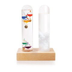 Duel Weather Station