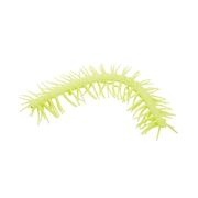 Wiggly Woo Centipede Assorted