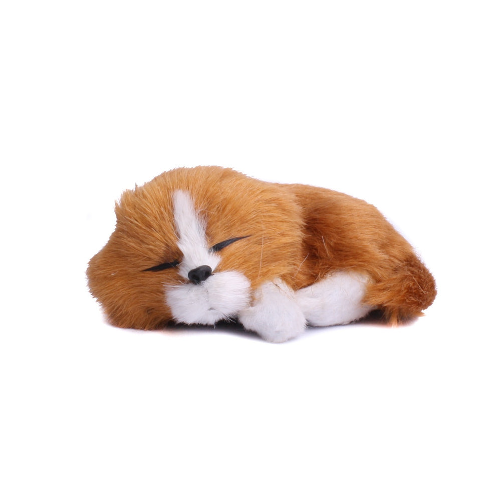 Soft Sleeping Dog