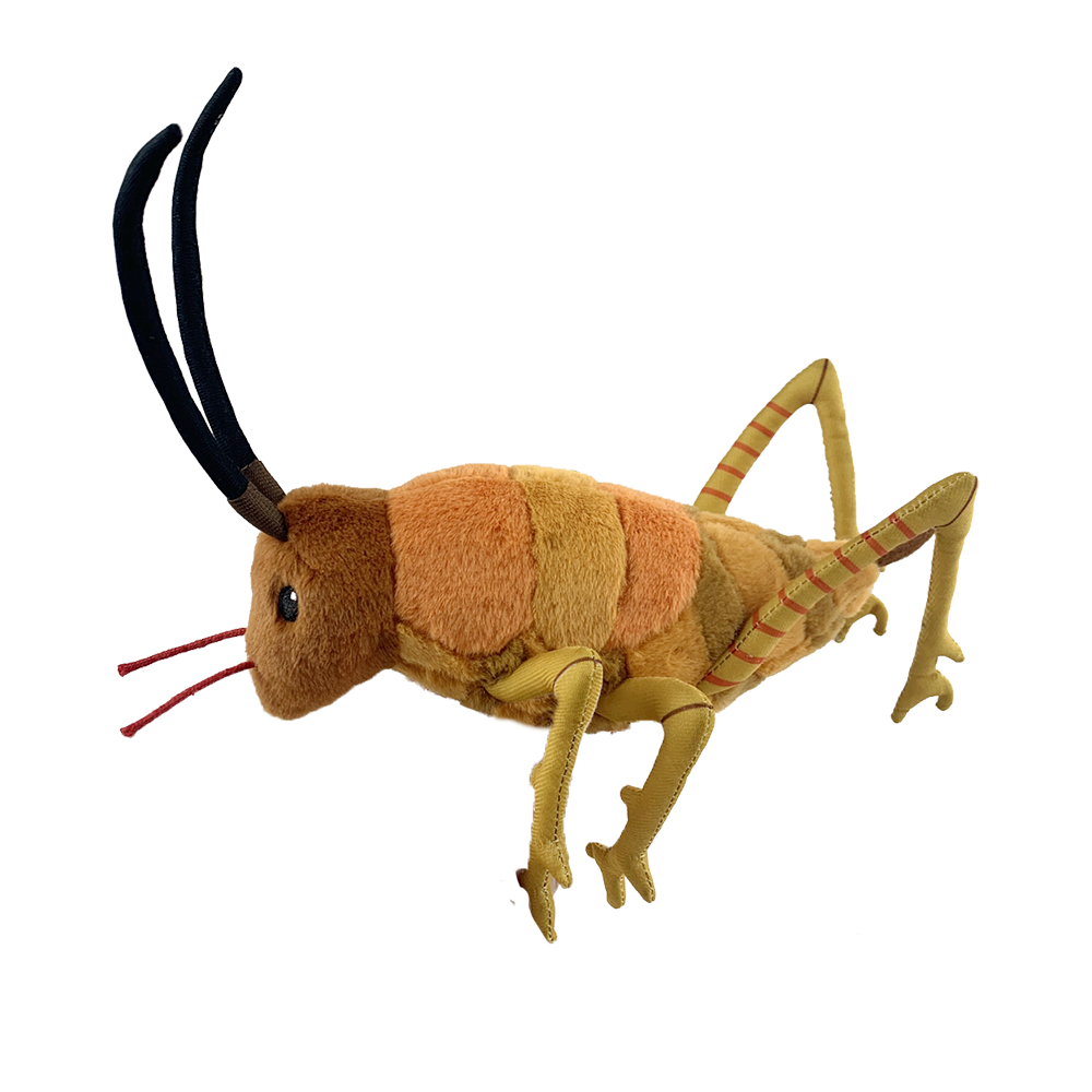 Moana Road Wiremu the Wētā  Soft Toy