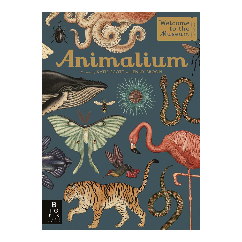 Welcome to the Museum Animalium