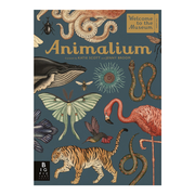 Welcome to the Museum Animalium