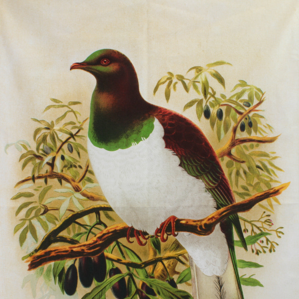 New Zealand Retro Tea Towel Wood Pigeon