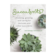 Succulents Choosing Growing and Caring for Cactuses and other Succulents