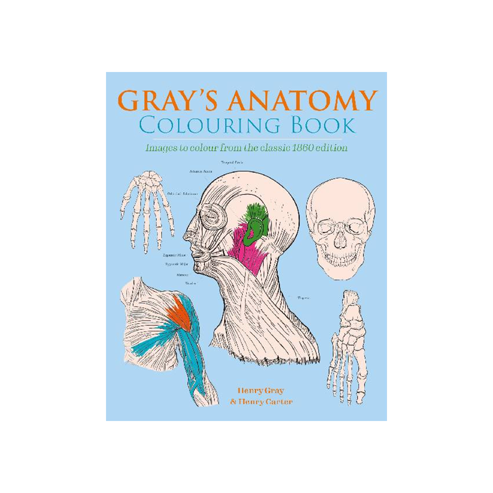 Grays Anatomy Colouring Book