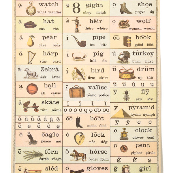 Cavallini Vintage Poster Curiosities