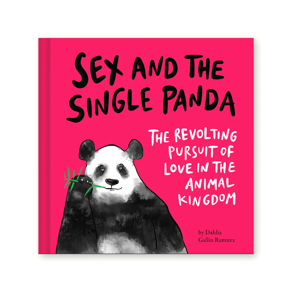 Sex and the Single Panda