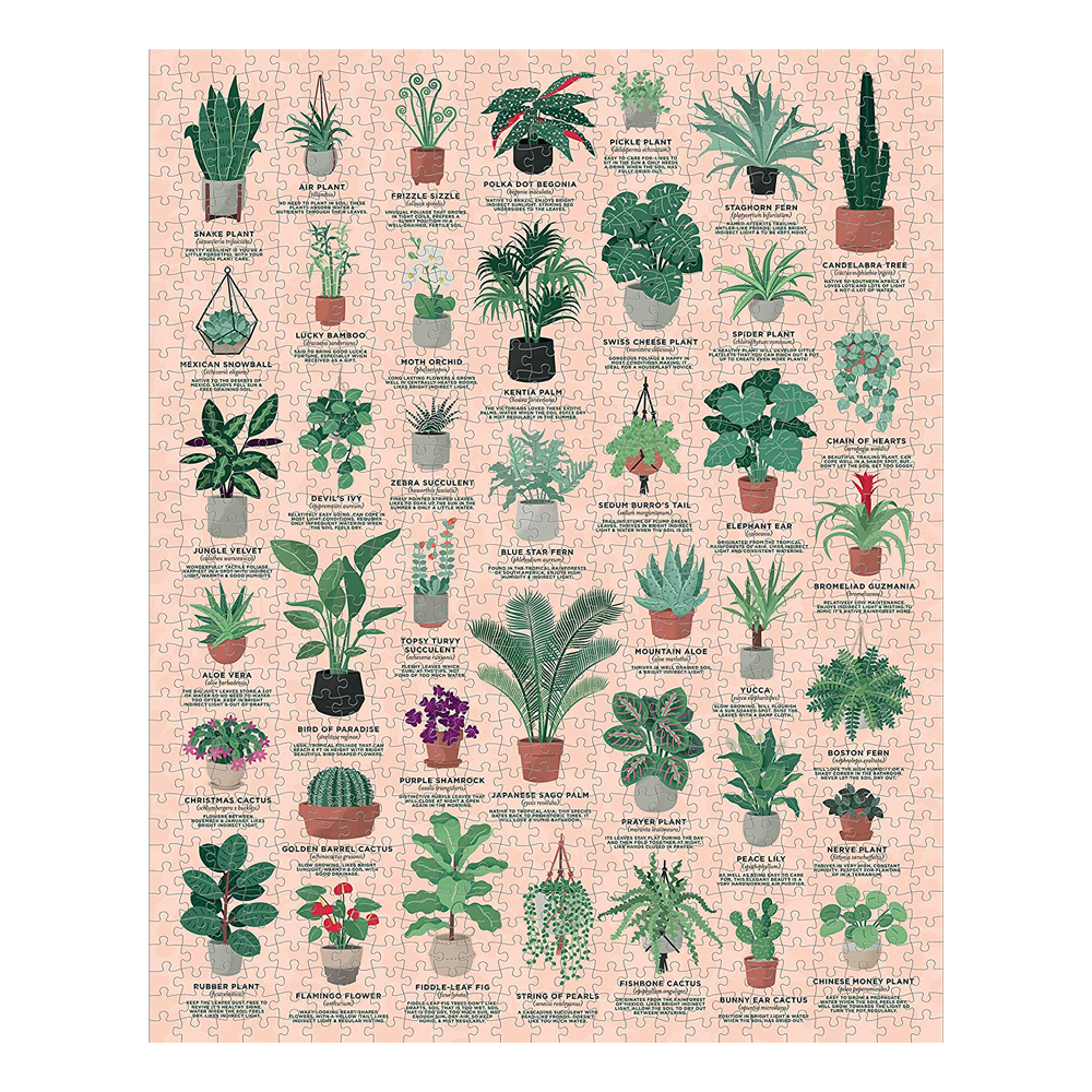 Ridleys House Plants 1000 Piece Puzzle