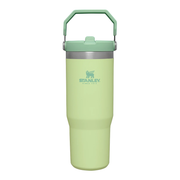 Stanley IceFlow Flip Straw Tumbler 30oz Citron