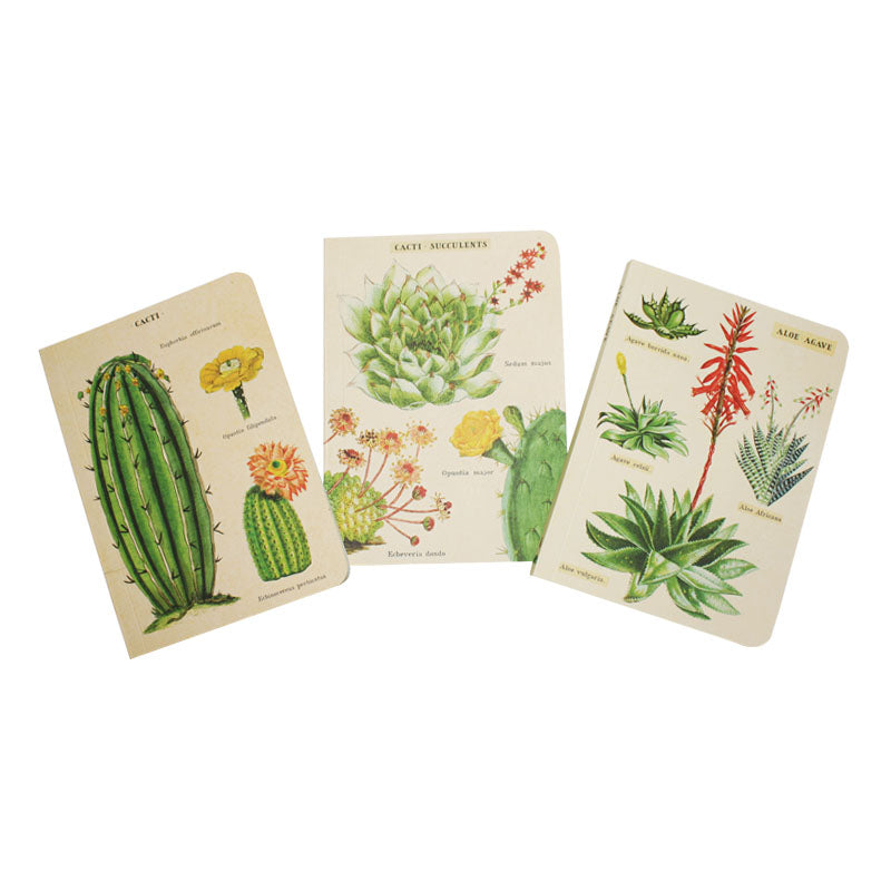 Cavallini Mini Notebook Succulents Blank