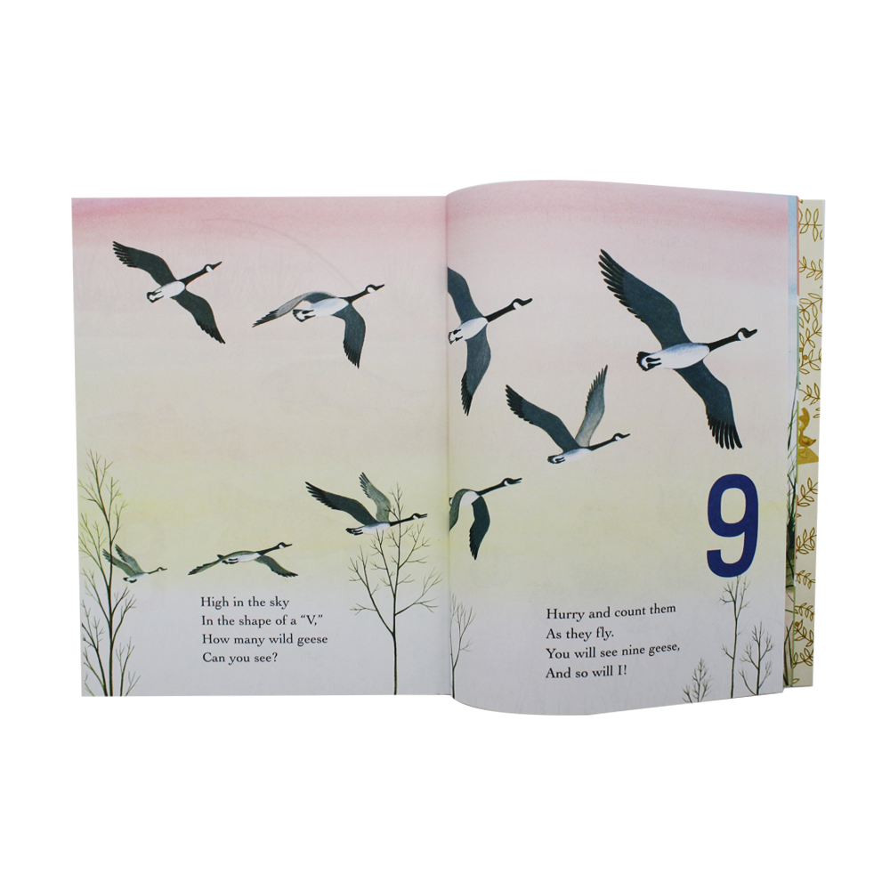 Little Golden Book My First Counting Book