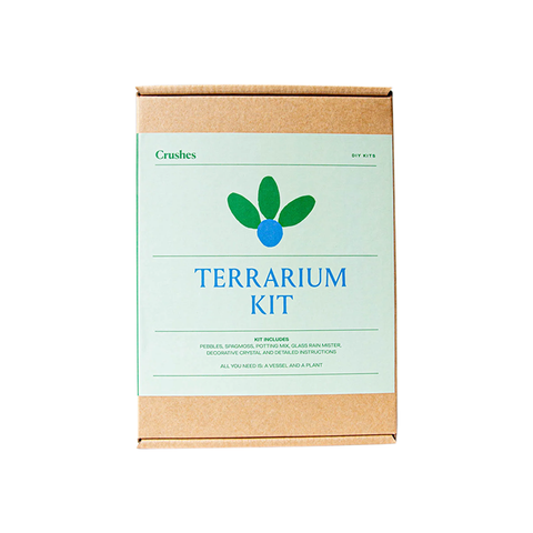 Crushes DIY Terrarium Kit