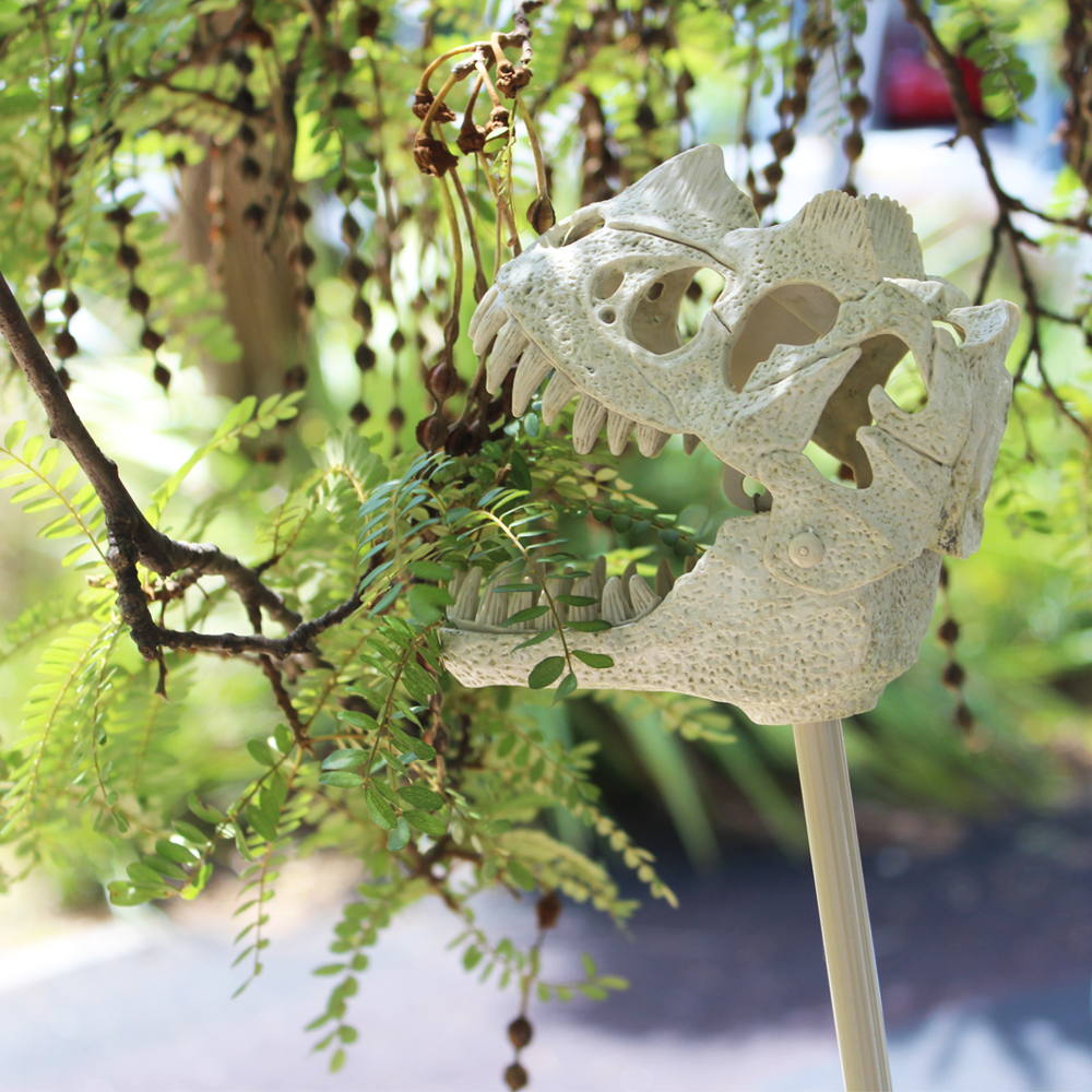 Roarasaurus T Rex Grabber