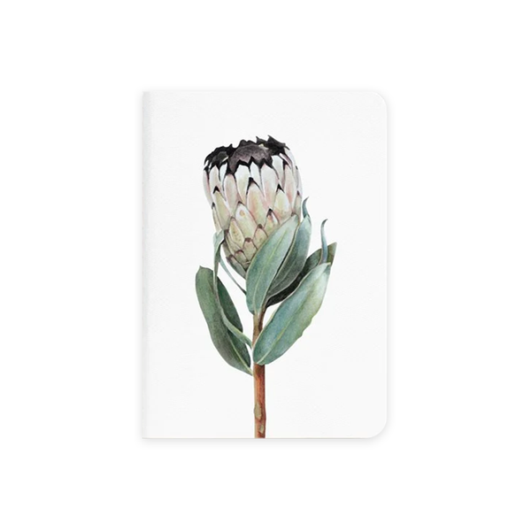 Father Rabbit B7 Soft Cover Pocket Notebook Protea