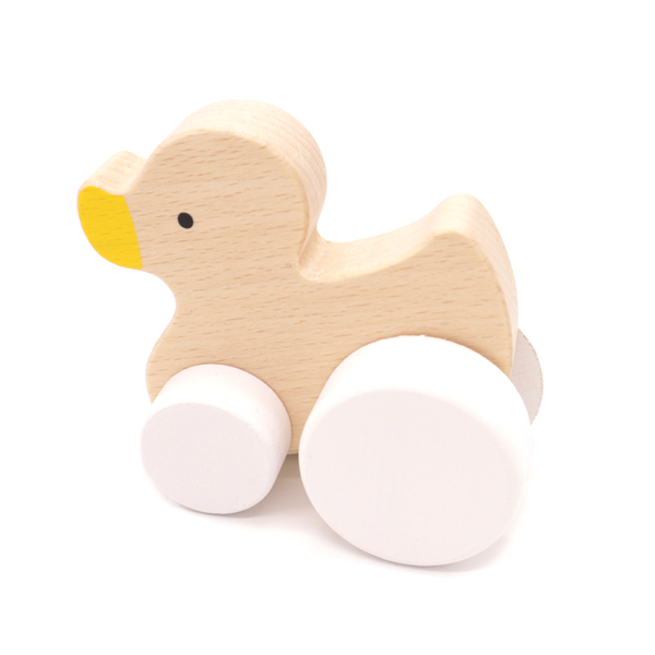 Wooden Animal Car Assorted