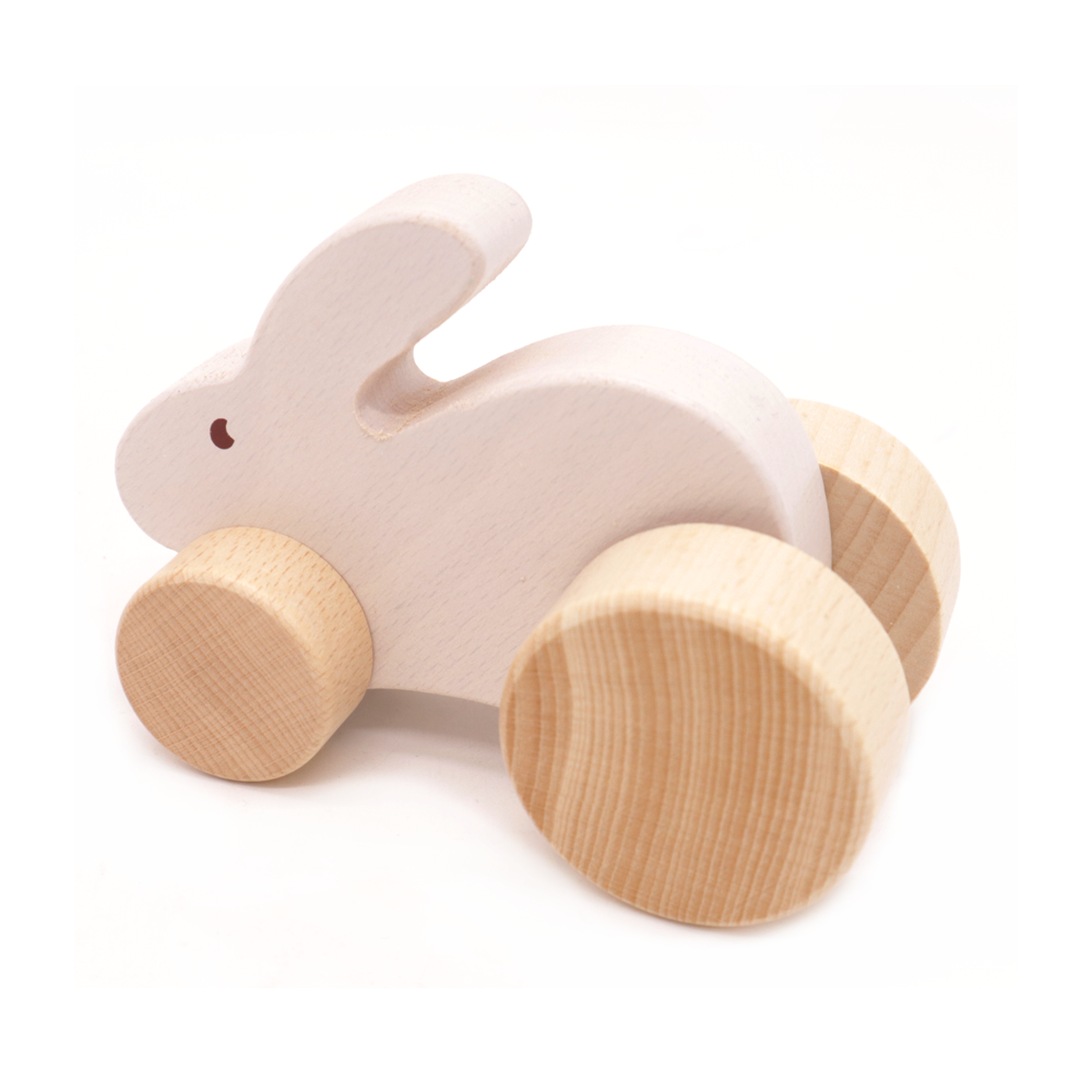 Wooden Animal Car Assorted
