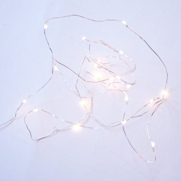 LED Wire Seed Light String 10m Silver Warm White Plug in