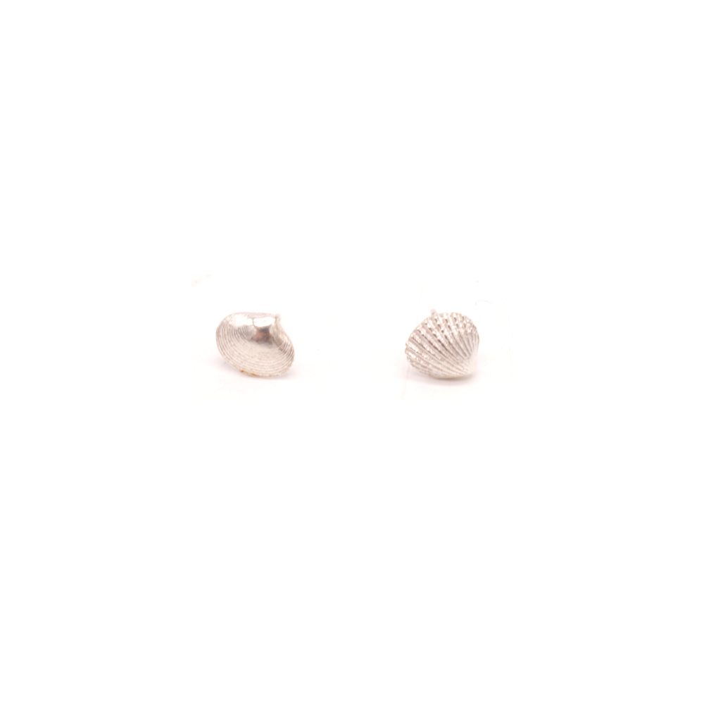 Geo Studs Shell Abel Tasman