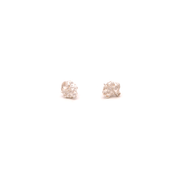 Geo Studs Shell Barnacle