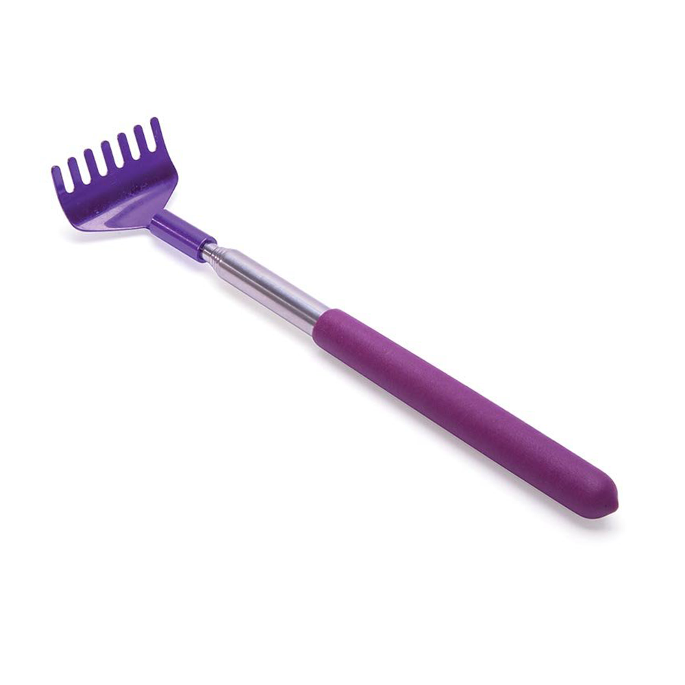 Telescope Back Scratcher Assorted