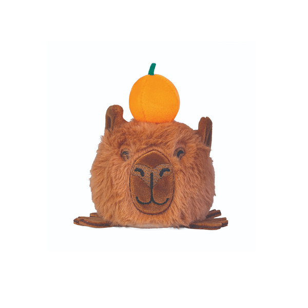 Capybara Plush Ball Jellies