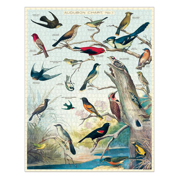 Cavallini 1000 Piece Puzzle Audubon Birds