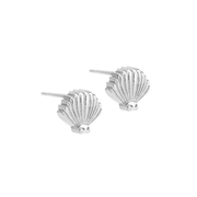 Little Taonga Studs Piwakawaka Tail and Eyes Silver