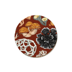 Wolfkamp & Stone NZ Fungi Phellodon Coaster