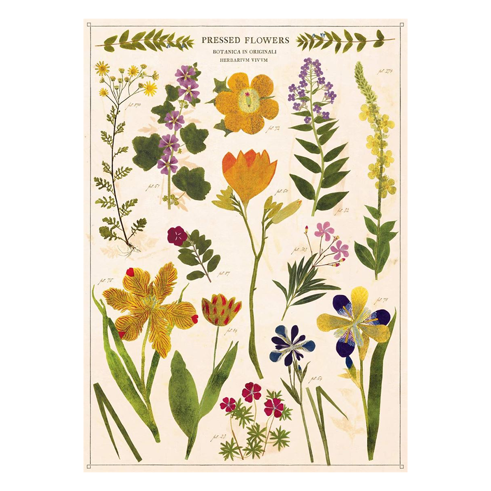Cavallini Vintage Poster Pressed Flowers