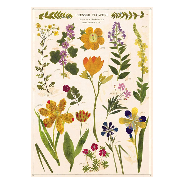 Cavallini Vintage Poster Pressed Flowers